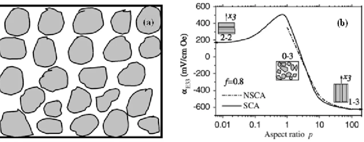 Fig. 2-3 Diagram of 0-3 composite and the ME response: (a) 0-3 multiferroic composite with high  concentration of particulate magnetic phase well dispersed in the piezoelectric phase