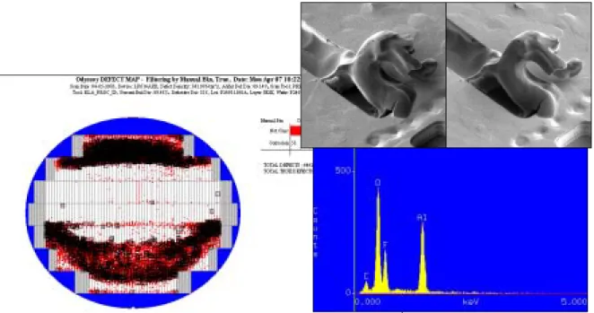 Fig 2.8 Wafer D – wafer held with cassette in contaminated fluoride box, the KLA map appeared metal corrosion on top/bottom of wafer