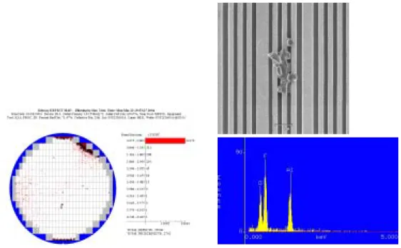 Figure 2.10 Wafer F – box be contaminated with NF 3  high density plasma of poly  etcher, there were metal corrosion on wafer