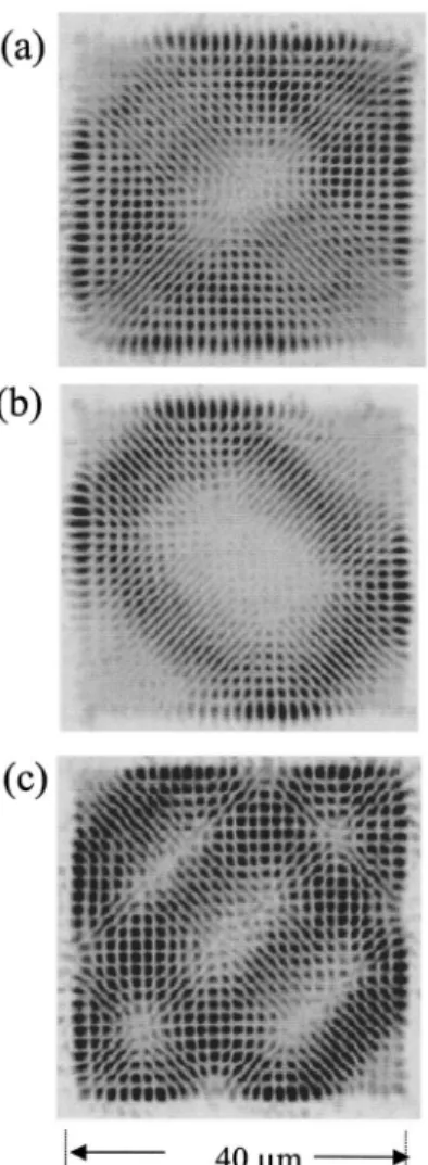 FIG. 1. Experimental polarization resolved pattern emitted from the VCSEL device near lasing threshold: (a) 45   polar-ization; (b) 45  polarization; (c) 0  polarization.