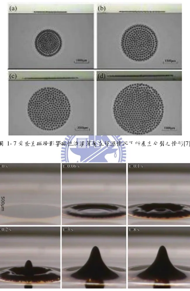 圖 1- 7 受垂直磁場影響磁性液滴薄層在預濕情況下所產生分裂之情形[7] 