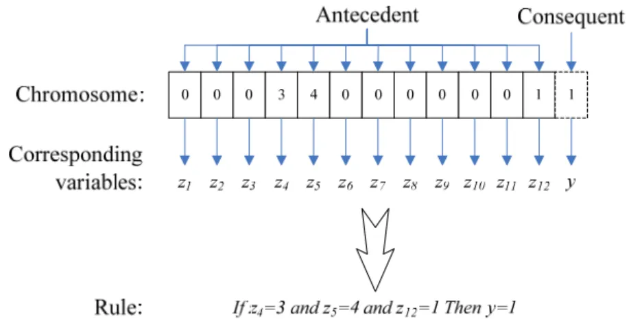 Fig. 1. Encoding methods of party-based Michigan model (GRM1) 