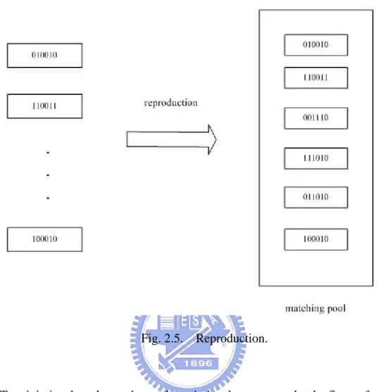 Fig. 2.5.  Reproduction. 