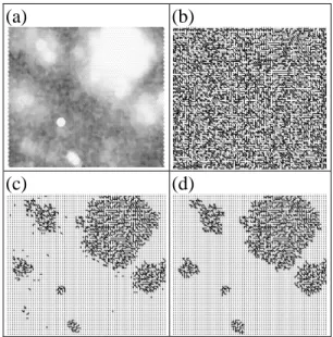 Figure 1. Visualization of the trained SOM. (a) the grey shade of the trained SOM, where darker areas mean larger distances, (b) the minimum spanning tree for the map units, (c) the disconnected subtrees after removing the links below some threshold and (d