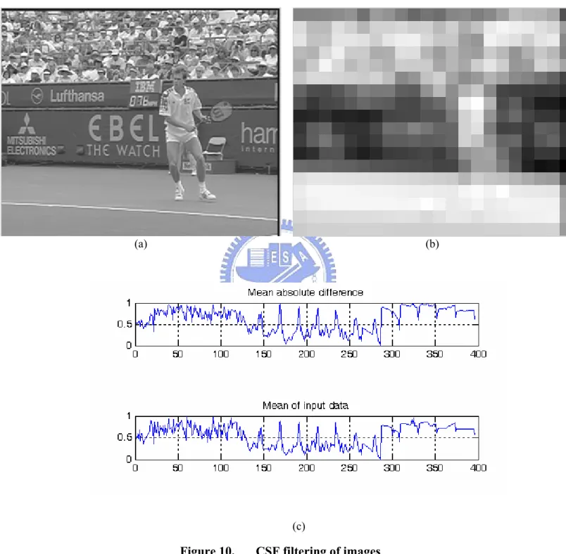 Figure 10.  CSF filtering of images 