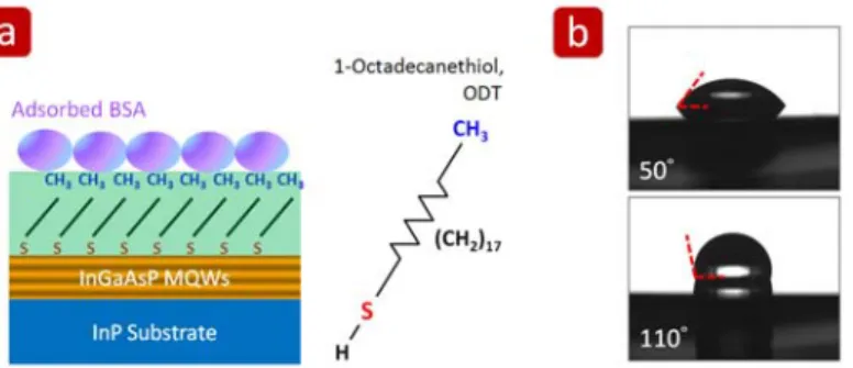 Fig. 9: (a) Scheme of protein adsorption on ODT-treated InGaAsP surface. (b) Measured contact angles of  oxide-free InGaAsP surfaces before and after ODT treatment, which are 50° and 110°, respectively