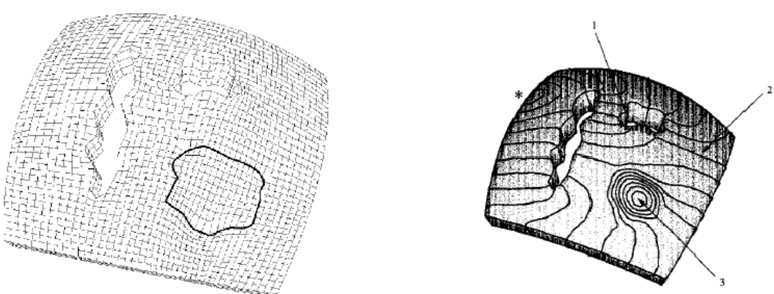 Figure 2.2 The mesh used to incorporate a complex conduction environment and the result  of stimulation [HPH00].