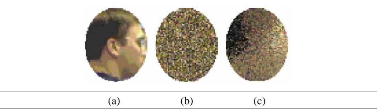Figure 2.8 The spatiogram captures spatial relationships among various colors,  whereas the histogram discards all spatial information