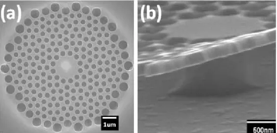 Fig. 2. 5: (a) Top and (b) tilted-view SEM pictures of fabricated microcavity with  central post 