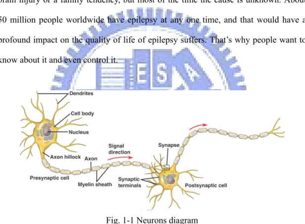 Fig. 1-1 Neurons diagram 