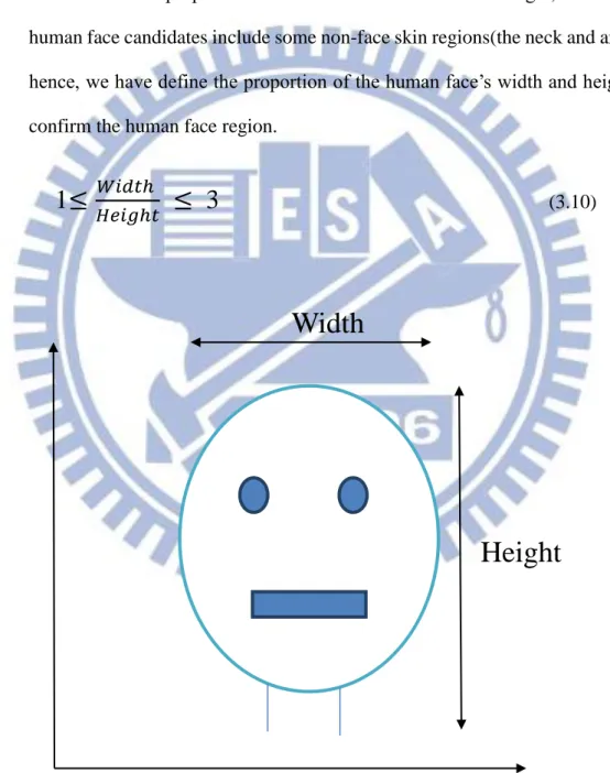 Figure 3.1.4.1 The proportion of the human face’s width and height. 