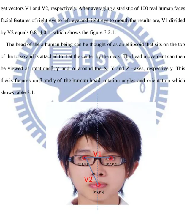 Figure 3.2.1 Geometric facial features. 