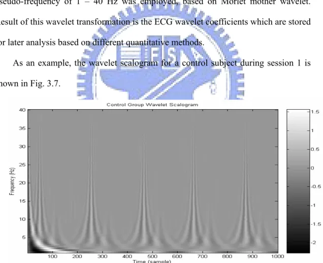 Fig. 3.7 The wavelet scalogram of a control subject during Session 1. 