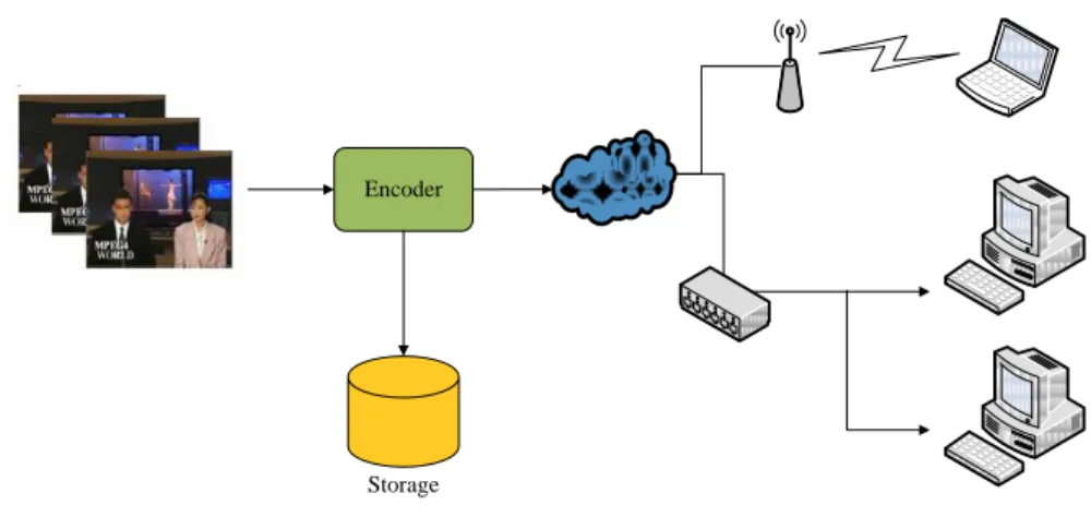 Fig. 1-1  Video transmission system 