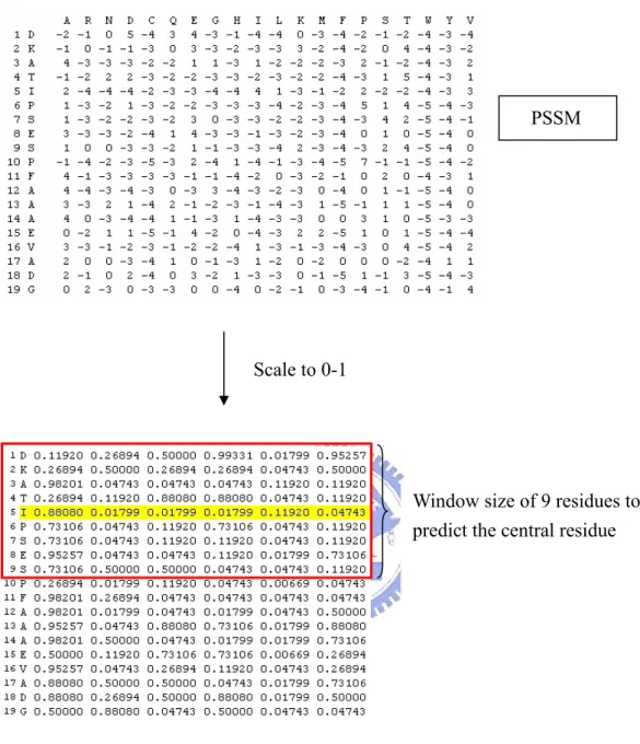 Figure 2. The procedure of processing PSSM input vector 