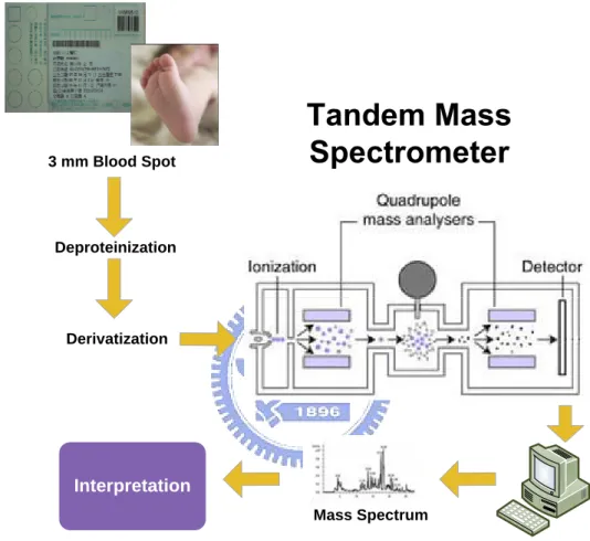 Figure 2.1 Tandem Mass Spectrometer Operating Sequence 