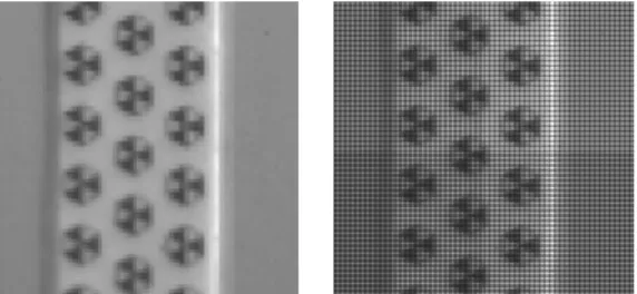 Figure 2. The diference of Bayer decode.(right: not decode) 