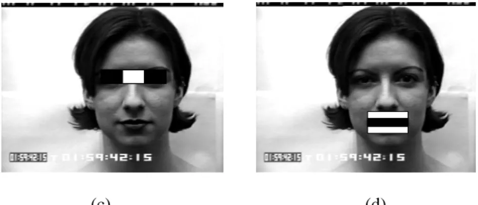 圖 2-3、Lienhart 與 Maydt 提出之 Haar-like 矩形特徵。  (a)邊緣特徵，(b)線特徵， (c)中心環繞特徵，(d)特殊對角特徵。 