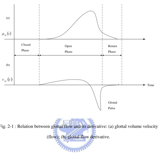 Fig. 2-1 : Relation between glottal flow and its derivative: (a) glottal volume velocity  (flow); (b) glottal flow derivative