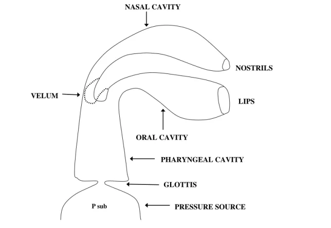 Fig. 2-3 : A schematized vocal-tract model. 