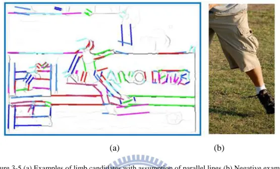 Figure 3-5 (a) Examples of limb candidates with assumption of parallel lines (b) Negative example 