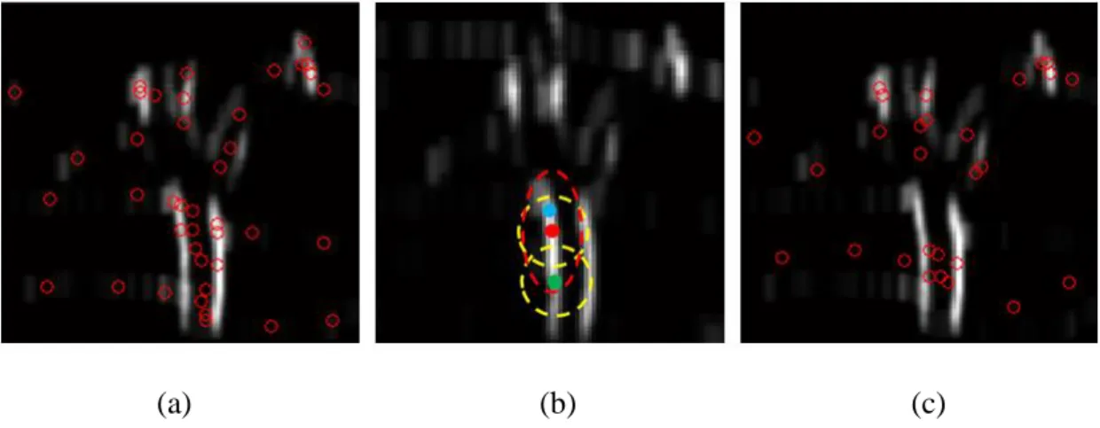 Figure 3-11 Produce starting points for limb detection. (a) Distribution of starting points without 