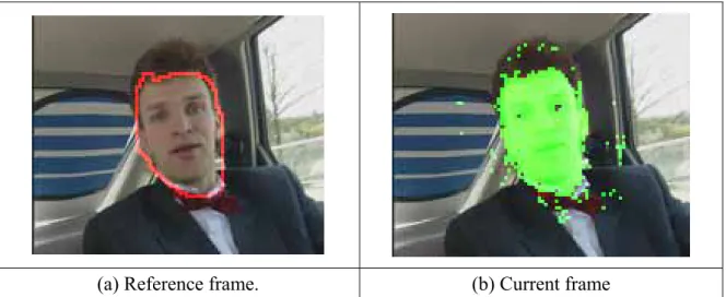 Figure 3-13  The force F defined by the region tracking model. (a) The pre-defined  region in the reference frame