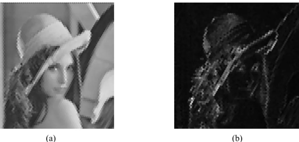 Figure 3-11.   The processing result of hCNN-based Gabor-type filtering, where (a) is the input  hexagonal-type image and (b) is the output