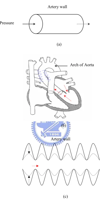 Fig. 1. (a) From the viewpoint of traditional hemodynamics, the pressure imposed on blood vessel is along the tube