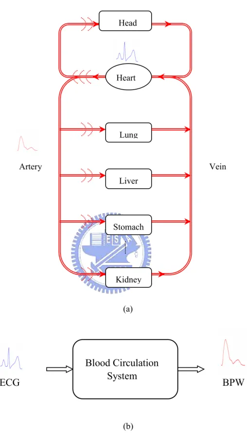 Fig. 2. (a) Schematic diagram of blood circulation system (b) The blood circulation is regarded as an electrically-driven, mechanical-pumping system.