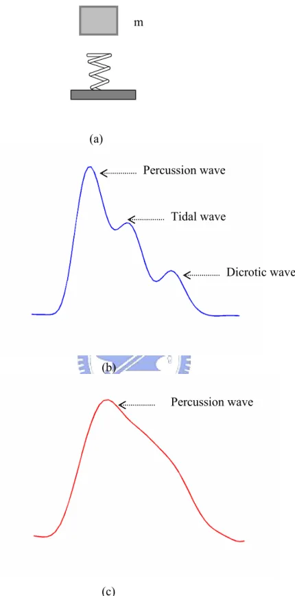 Fig. 4. (a) The vibration of artery behaves like the motion of a spring with mass m. (b) The under-damped BPW waveform with three peaks (Percussion, Tidal and Dicrotic waves) is shown