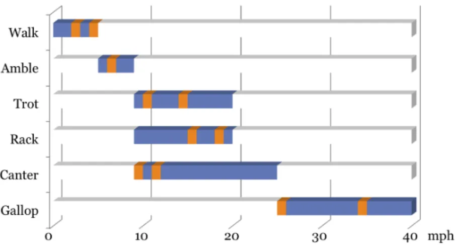 Figure 3.6: Speed Decision