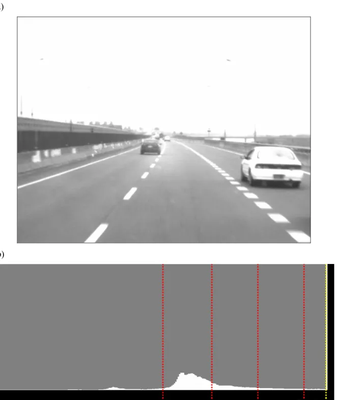 Fig. 3.2  The grayscale histogram of a road image with a blaze on the farther road surface