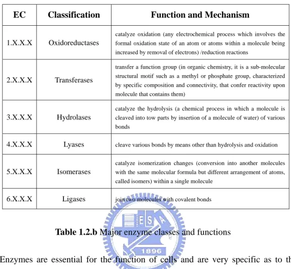 Table 1.2.b Major enzyme classes and functions 