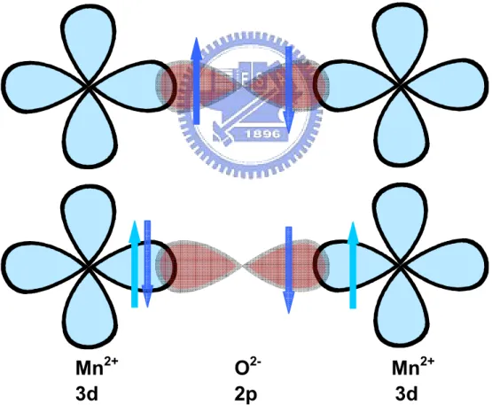 Fig. 2.1 Top: The wave function of O -2  2p and Mn +3  3d overlapping in the  superexchange interactions