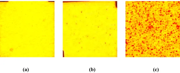 Figure 2-14    Ohmic contacts are separated by increasing distances.  Figure 2-13  Alloyed AuGe/Ni/Au contacts, showing typical patterns if (a) under-alloyed; (b) alloyed correctly; (c) over-alloyed 