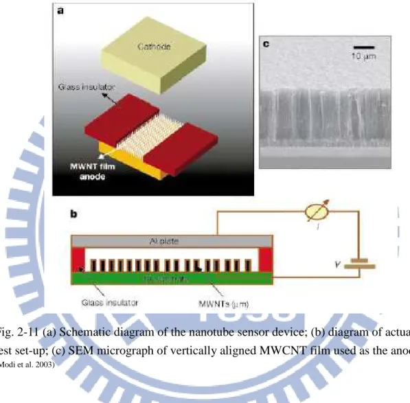 Fig. 2-11 (a) Schematic diagram of the nanotube sensor device; (b) diagram of actual  test set-up; (c) SEM micrograph of vertically aligned MWCNT film used as the anode 