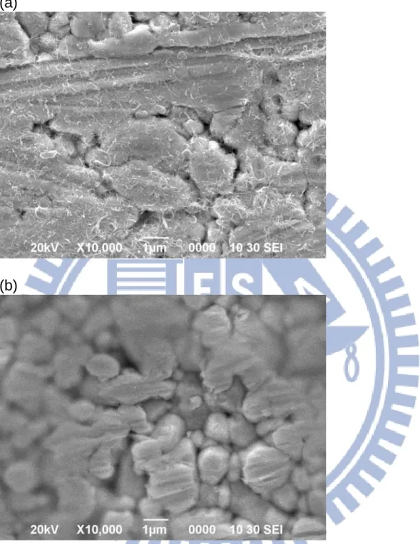 Fig. 4-4 SEM surface morphologies of: (a) MWCNTs+PVP composite, and (b) the  PVP/MWCNTs stacked sensors, respectively 