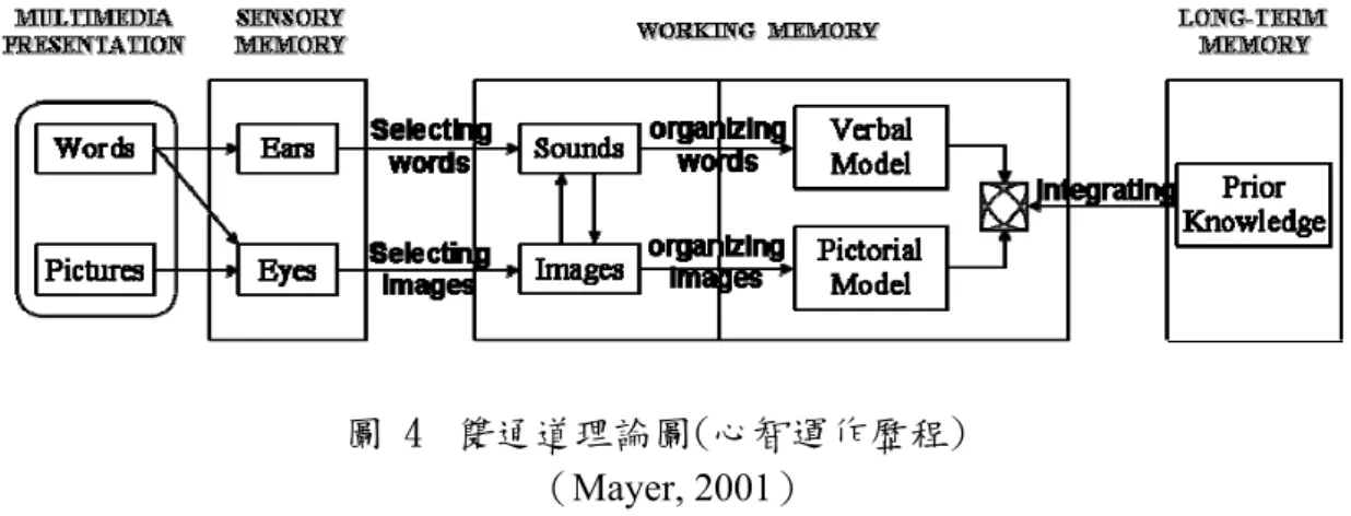 圖 4  雙通道理論圖(心智運作歷程)  （Mayer, 2001）  教材的設計呈現方式必需符合心智的運作，Mayer 將實驗的結果歸納出以下幾個教 材設計原則：  1.多媒體原則(Multimedia Principle)  學習者透過雙通道的文字及圖片學習的效果，比單一方式呈現較好的學習效果。  2.空間接近原則(Spatial Contiguity Principle) 