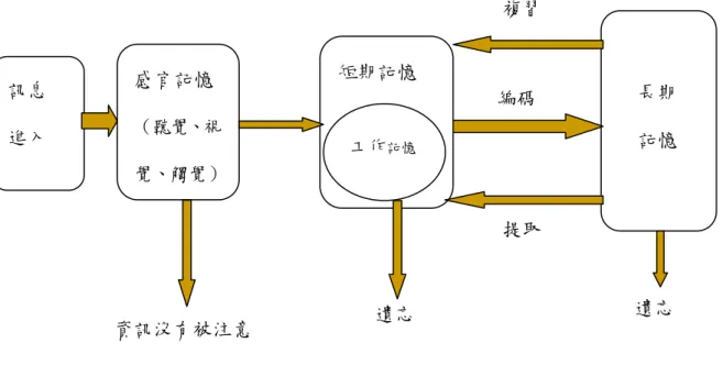 圖 3  訊息處理的歷程  資料來源：Atkinson &amp; Shiffrin (1968)  現在我們來了解訊息處理的三個階段歷程：  一、感官記憶 (Sensory Register)是指個體透過視、聽、嗅、味…等感覺器官感受到外在 刺激時所引起的短暫  (三秒鐘以內)記憶(Atkinson、Shiffrin，1968))。  而感覺刺激須達到一定的量才能被知覺到，但此時若無引起個體之注意，很快就會 消失。感官記憶之異於其他階段記憶，除了時間極短之外，它的特色是在記憶中仍保持 著刺激原本的形式。如
