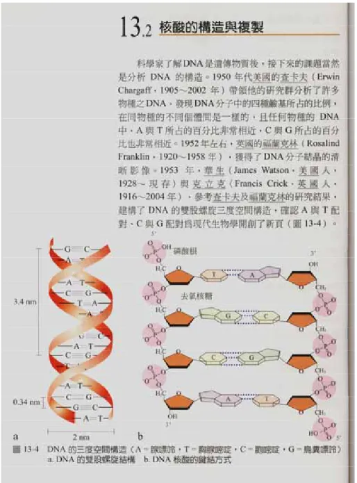 圖 22 傳統教材-核酸的構造 