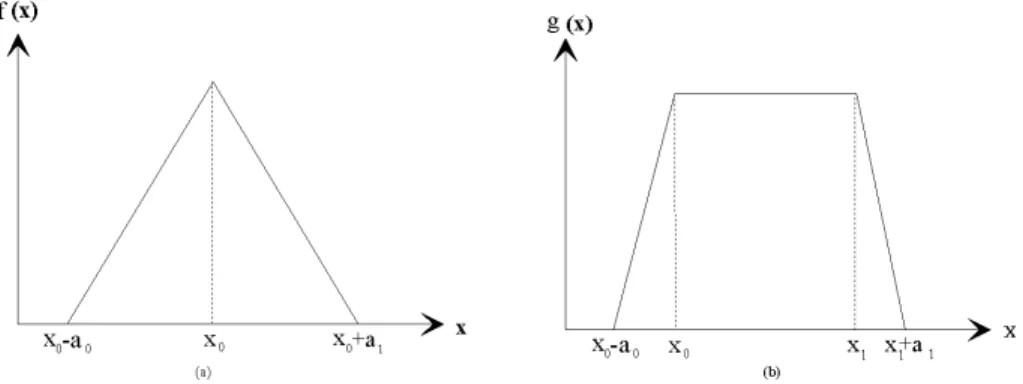 Figure 2.3: Definitions for functions f (·) and g(·)