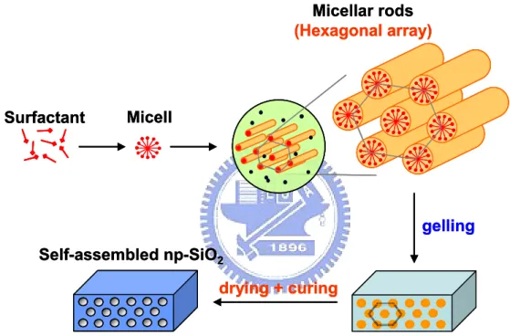 圖 2- 3  有機分子模板作用示意圖。  gellingSelf-assembled np-SiO2drying + curingSurfactantMicellar rods (Hexagonal array)MicellgellingSelf-assembled np-SiO2drying + curingSurfactantMicellar rods (Hexagonal array)Micell