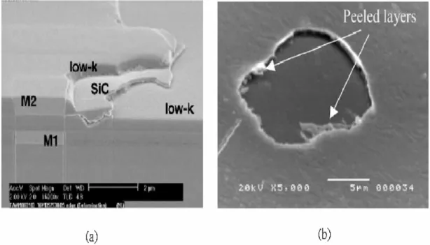 Figure 2.20 SEM photographs of (a) delamination during CMP process and (b)  delamination and failure after wire bonding 