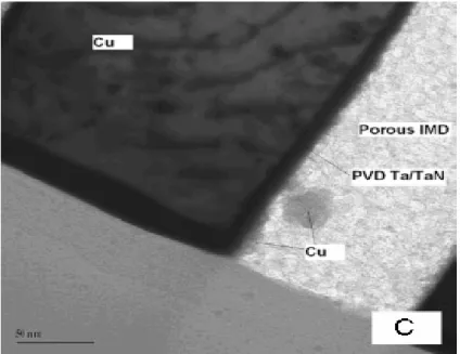 Figure 2.21 Penetration of copper into non-continuous sidewall of a porous  dielectric 
