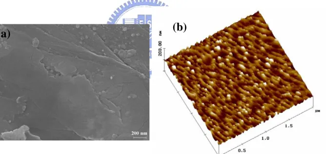 Fig. 4-1 (a) SEM image of an aluminum sheet annealed and (b) AFM image of an  aluminum sheet, both annealed at 673 K for 3 hours