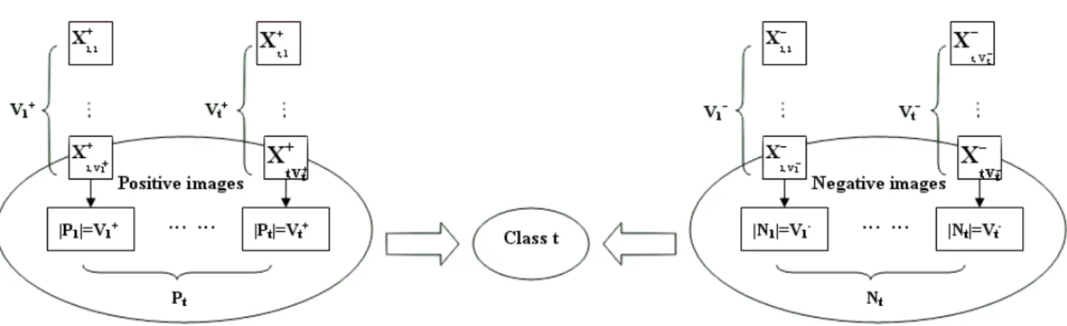 Figure 3.1: The schematic of the positive and negative for the class t