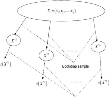 Figure 4.2: The schematic diagram of the bootstrap resampling