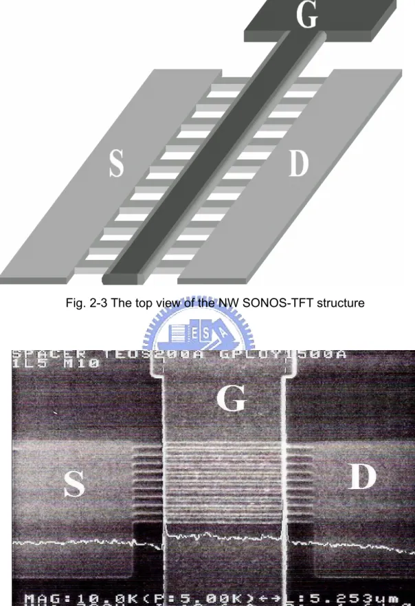 Fig. 2-3 The top view of the NW SONOS-TFT structure 