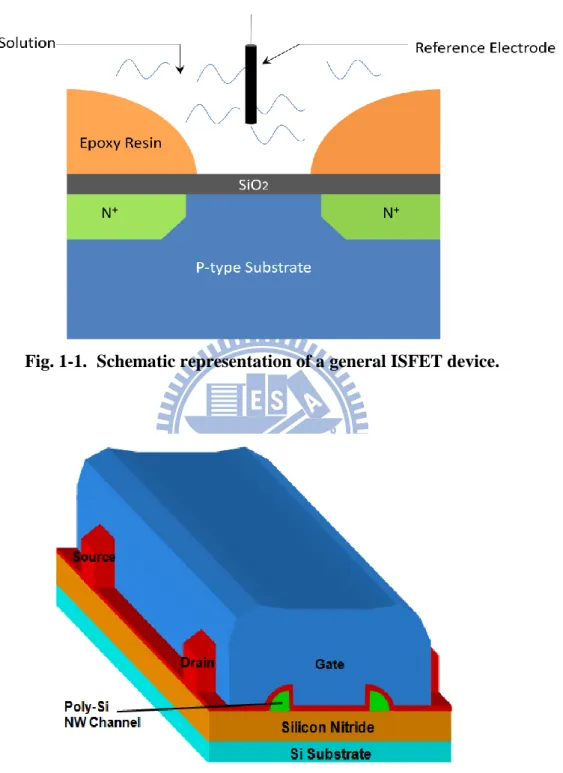 Fig. 1-1.  Schematic representation of a general ISFET device. 